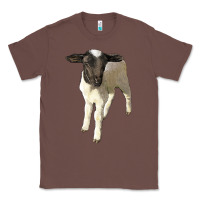 Chestnut dorper baby sheep Classic Tee - LillyAllenDesigns