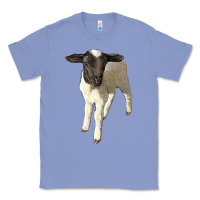 Colony Blue dorper baby sheep Classic Tee - LillyAllenDesigns