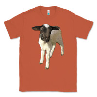 Copper dorper baby sheep Classic Tee - LillyAllenDesigns