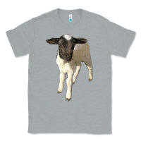 Heather Grey dorper baby sheep Classic Tee - LillyAllenDesigns