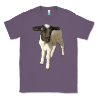 Lavender dorper baby sheep Classic Tee - LillyAllenDesigns