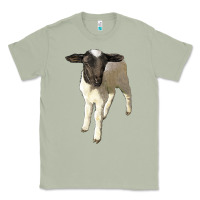 Matcha dorper baby sheep Classic Tee - LillyAllenDesigns