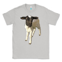 Moon Dust dorper baby sheep Classic Tee - LillyAllenDesigns