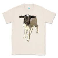 Natural dorper baby sheep Classic Tee - LillyAllenDesigns