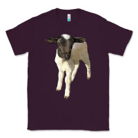 Plum dorper baby sheep Classic Tee - LillyAllenDesigns