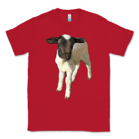 Red dorper baby sheep Classic Tee - LillyAllenDesigns