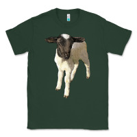 Sports Green dorper baby sheep Classic Tee - LillyAllenDesigns