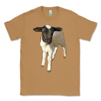 Toasted Coconut dorper baby sheep Classic Tee - LillyAllenDesigns