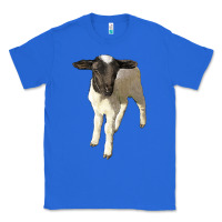 True Royal dorper baby sheep Classic Tee - LillyAllenDesigns
