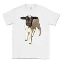 White dorper baby sheep Classic Tee - LillyAllenDesigns