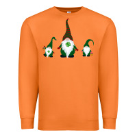 Carrot St Patricks Day Premium Sweatshirt - Bettercallsaul