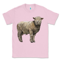 Bubblegum Pink southdown sheep Classic Tee - LillyAllenDesigns