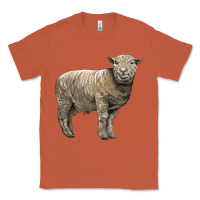 Copper southdown sheep Classic Tee - LillyAllenDesigns