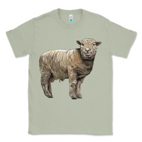 Matcha southdown sheep Classic Tee - LillyAllenDesigns