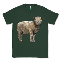 Sports Green southdown sheep Classic Tee - LillyAllenDesigns
