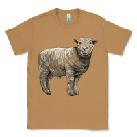 Toasted Coconut southdown sheep Classic Tee - LillyAllenDesigns