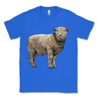 True Royal southdown sheep Classic Tee - LillyAllenDesigns
