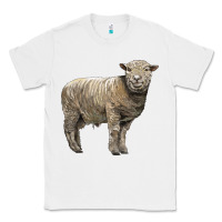 White southdown sheep Classic Tee - LillyAllenDesigns