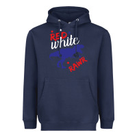 Navy 4th of July Dinosaur Heavyweight Hoodie - Bettercallsaul