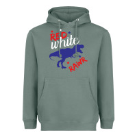 Sage 4th of July Dinosaur Heavyweight Hoodie - Bettercallsaul