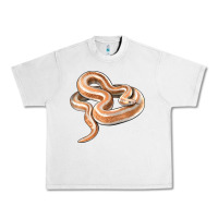 Lunar Rock Rosy Boa Snake Illustrations Urban Heavy Tee - LillyAllenDesigns