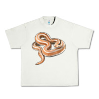 Pistachio Rosy Boa Snake Illustrations Urban Heavy Tee - LillyAllenDesigns