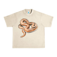 Sandshell Rosy Boa Snake Illustrations Urban Heavy Tee - LillyAllenDesigns