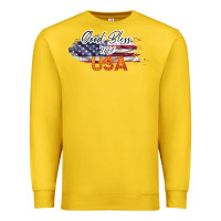 Lemon God Bless The USA Premium Sweatshirt - Bettercallsaul