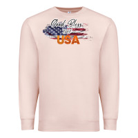 Pale Pink God Bless The USA Premium Sweatshirt - Bettercallsaul