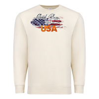 Sandshell God Bless The USA Premium Sweatshirt - Bettercallsaul