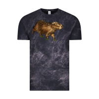 Cloud Black Capybara Vintage Tee - LillyAllenDesigns