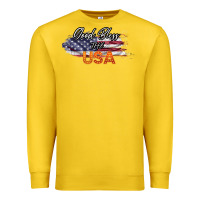 Lemon God Bless The USA Premium Sweatshirt - Bettercallsaul