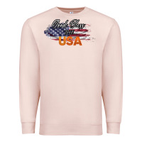 Pale Pink God Bless The USA Premium Sweatshirt - Bettercallsaul