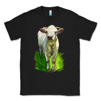 Black Charolais Heifer Classic Tee - LillyAllenDesigns