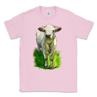 Bubblegum Pink Charolais Heifer Classic Tee - LillyAllenDesigns