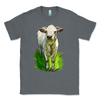 Charcoal Heather Charolais Heifer Classic Tee - LillyAllenDesigns