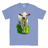 Colony Blue Charolais Heifer Classic Tee - LillyAllenDesigns