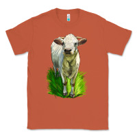 Copper Charolais Heifer Classic Tee - LillyAllenDesigns