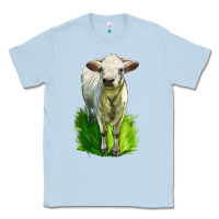 Dusty Blue Charolais Heifer Classic Tee - LillyAllenDesigns