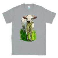 Heather Grey Charolais Heifer Classic Tee - LillyAllenDesigns