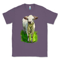 Lavender Charolais Heifer Classic Tee - LillyAllenDesigns