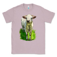 Lilac Charolais Heifer Classic Tee - LillyAllenDesigns