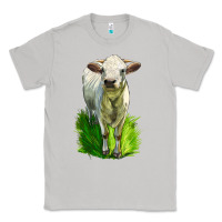 Moon Dust Charolais Heifer Classic Tee - LillyAllenDesigns