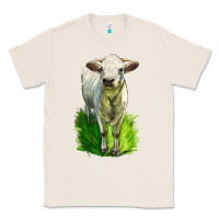 Natural Charolais Heifer Classic Tee - LillyAllenDesigns