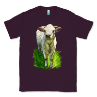 Plum Charolais Heifer Classic Tee - LillyAllenDesigns