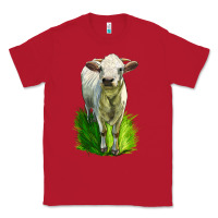 Red Charolais Heifer Classic Tee - LillyAllenDesigns