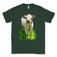 Sports Green Charolais Heifer Classic Tee - LillyAllenDesigns