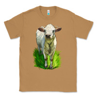 Toasted Coconut Charolais Heifer Classic Tee - LillyAllenDesigns