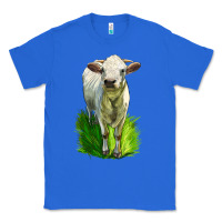 True Royal Charolais Heifer Classic Tee - LillyAllenDesigns