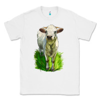 White Charolais Heifer Classic Tee - LillyAllenDesigns